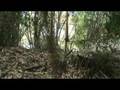 videos de HOUSE PROPIEDADES PARCELA RIO CHAMIZA 1