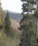 6mm Reptile Hunters