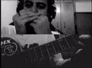 Guitar + Harmonica
