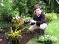Plant Bedding Plant Bedding