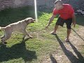 Ja Ja Ja, Video De Lo Mas Mi Amigo Con Su Perro Ja Ja Ja