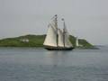 Tall Ships