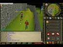 i scamed full rune with a rune battle axe