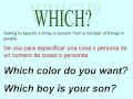 English lessons WHO WHAT WHICH Clases de Ingles