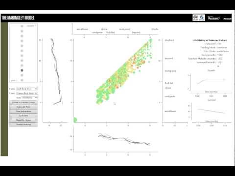 Madingley Model: Interactive Visualization