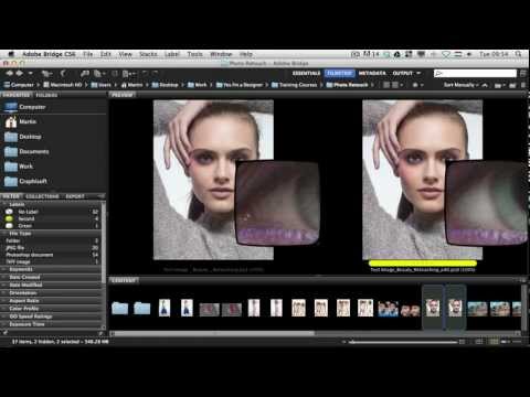 Top 10 Reasons You Should be Using Adobe Bridge