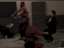 Ninjutsu Dragao Branco - VIII