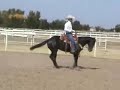 Futurity Prospect Futurity Prospect