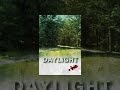 Daylight
