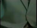 Roberto Requião, o comedor de mamonas