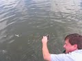 Monongahela Catfish
