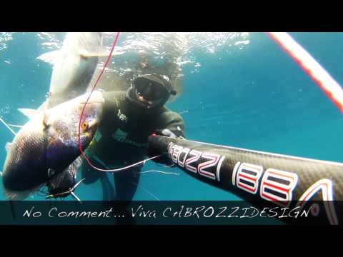 TEAM Corsica-Sub Un Tiro due Dentice Spearfishing 2015
