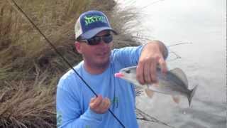 DockSide TV  