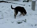 October 11, 2008 snow