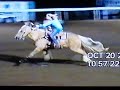 Kiss This Flit, Scottsville, KY