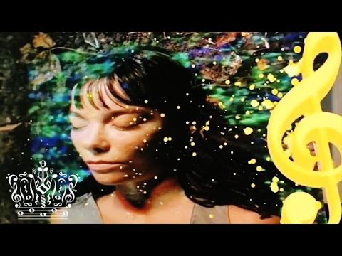 Imagen de previsualización de YouTube