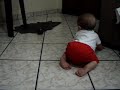 Enzo engatinhando!