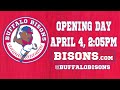 Ay! Ay! Ay! I can't decide which is better? @BuffaloBisons http://t.co/Qx3PpAcq or @vancanadians http://t.co/ktqfKS7M #HarlemShake