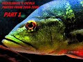 DIESELMACK PEACOCK BASS