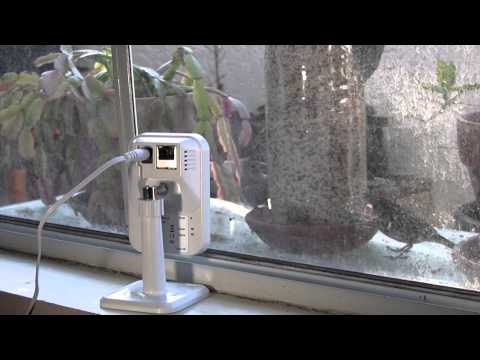 how to setup q see camera