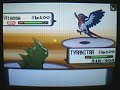 Wifi battle # 1 vs FearFox
