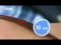 2010-03-18 | Global Count: Snakes of the world | Global 3000 ~> . The smallest snakes in the world slither across the island of Barbados, and the longest strut their stuff in southeast Asia. ... Deutsche Welle DW ...  (<span>1:)