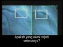 Jantung dan Strok