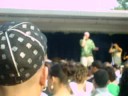 cosculluela en springfiel
