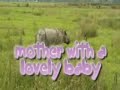 Kaziranga National Park Assam