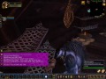 world of warcraft the vally of honor porno XXX.