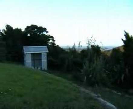 Whangarei (New Zealand)