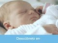 en el vientre materno  8/11 