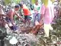 Lembu masuk perigi tuuttt...