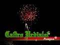 fuegos artificiales castro urdiales coso blanco 2008