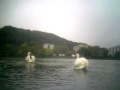 Absturz mit Twinstar 2 auf Stausee Essen-Kettwig