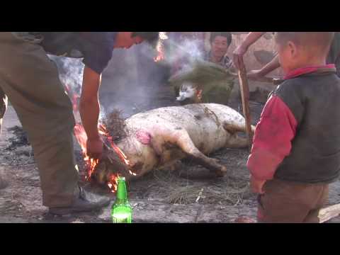 Burn the pigs 3 (Lugu Lake, China)