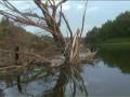 videos de Dunav film.mpg