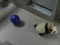 Mei Lan and Her Big Blue Ball Mei Lan and Her Big Blue Ball
