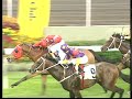 Lucky Owners - Road to the Glory - The International Mile Tr