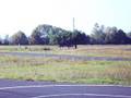 Autodrom 12.10.2008r Biłgoraj E30
