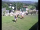 redondelo