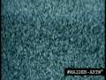 notjustalabel video