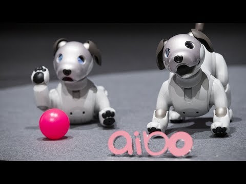 ROSCon2018 aibo