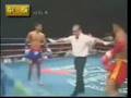 Liu Hailong vs Muay Thai part 1