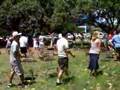 Musical chairs 1