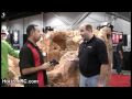 HorizonRC.com Event - iHobby 2009 - Losi Micro Rock Crawler