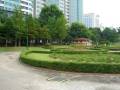 Looking at Hyowon Park