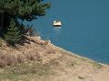 Sila Calabria Laghi Funghi Porcini
