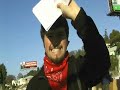Anarchist K Anarchist K