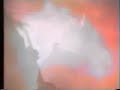 my dying bride - sear me